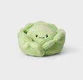 6” Cabbage Plush- Gigglescape